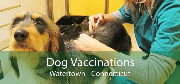 Dog Vaccinations Watertown - Connecticut