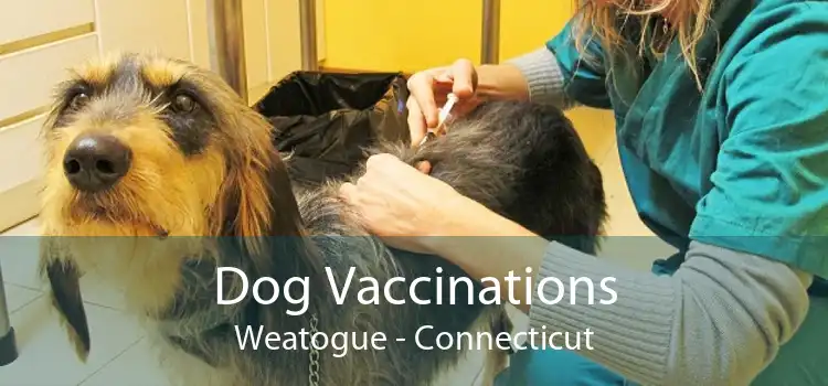 Dog Vaccinations Weatogue - Connecticut