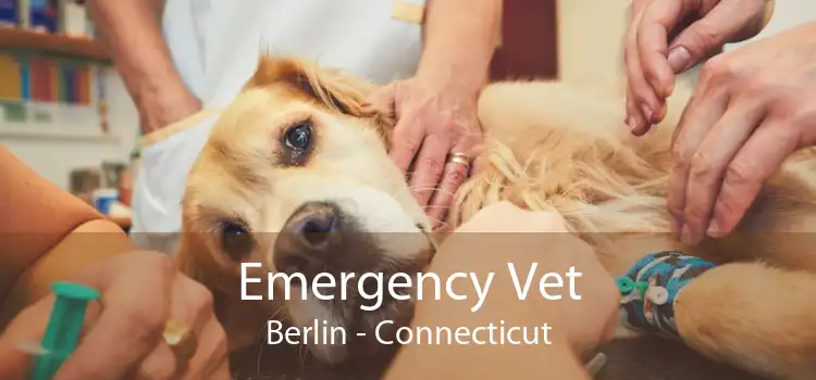 Emergency Vet Berlin - Connecticut