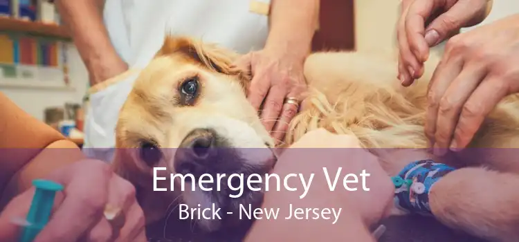 Emergency Vet Brick - New Jersey