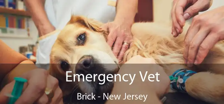 Emergency Vet Brick - New Jersey