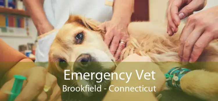 Emergency Vet Brookfield - Connecticut