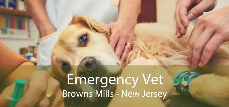 Emergency Vet Browns Mills - New Jersey