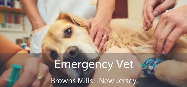 Emergency Vet Browns Mills - New Jersey