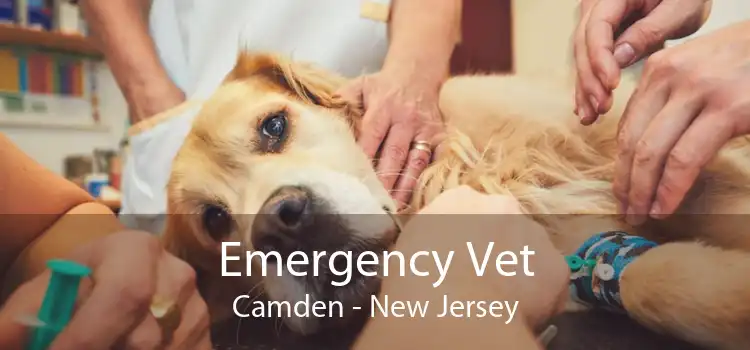 Emergency Vet Camden - New Jersey
