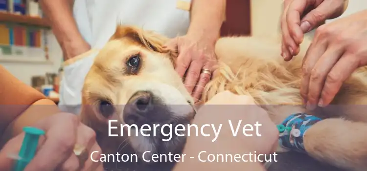 Emergency Vet Canton Center - Connecticut