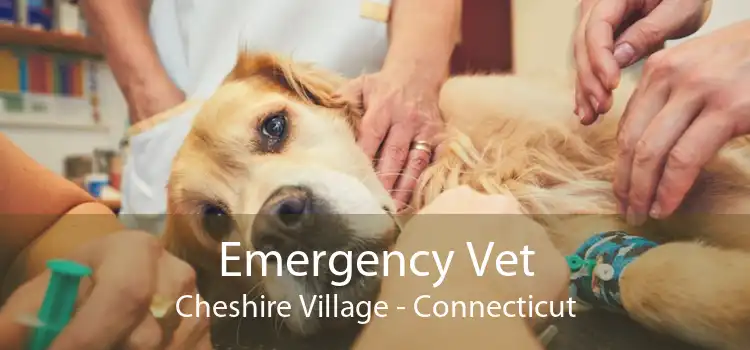 Emergency Vet Cheshire Village - Connecticut
