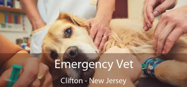 Emergency Vet Clifton - New Jersey