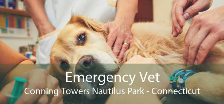 Emergency Vet Conning Towers Nautilus Park - Connecticut
