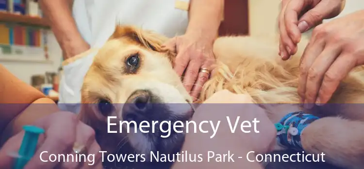 Emergency Vet Conning Towers Nautilus Park - Connecticut