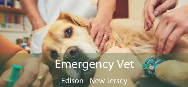 Emergency Vet Edison - New Jersey