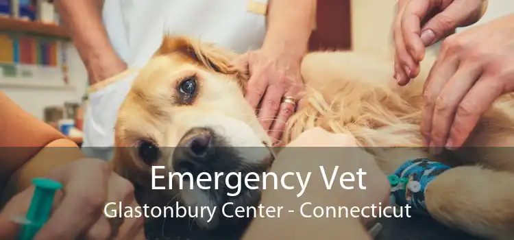 Emergency Vet Glastonbury Center - Connecticut
