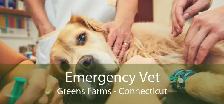 Emergency Vet Greens Farms - Connecticut
