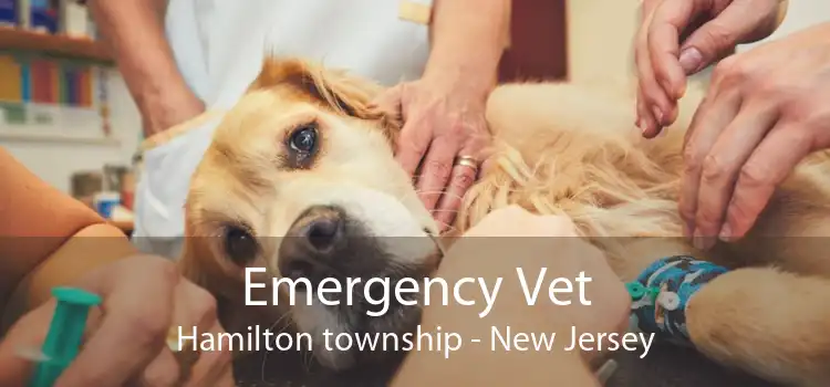 Emergency Vet Hamilton township - New Jersey