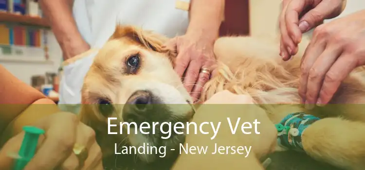Emergency Vet Landing - New Jersey
