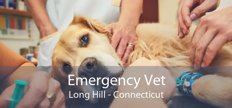 Emergency Vet Long Hill - Connecticut