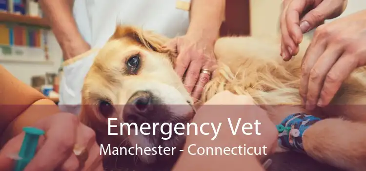 Emergency Vet Manchester - Connecticut