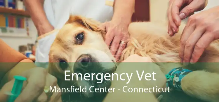 Emergency Vet Mansfield Center - Connecticut