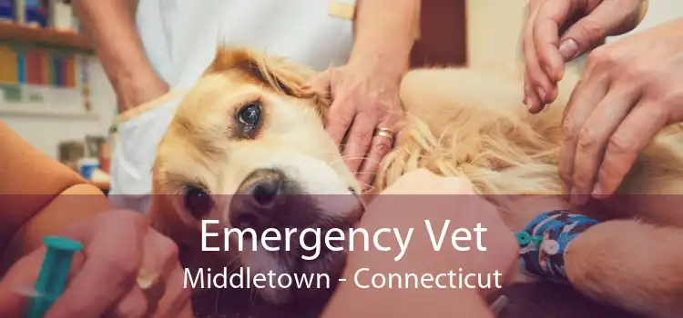 Emergency Vet Middletown - Connecticut