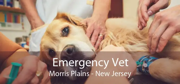 Emergency Vet Morris Plains - New Jersey