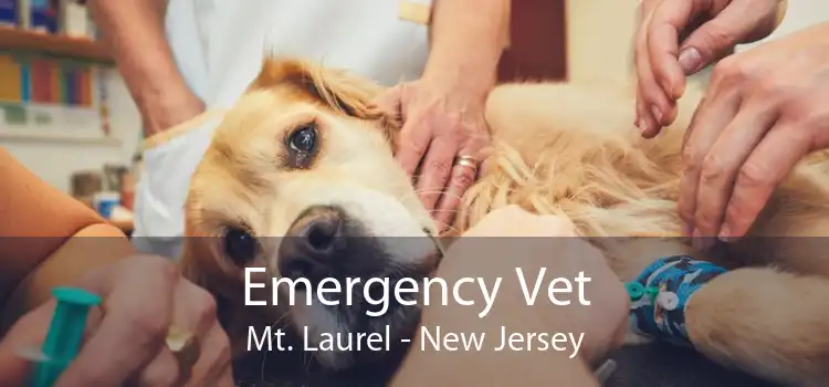 Emergency Vet Mt. Laurel - New Jersey