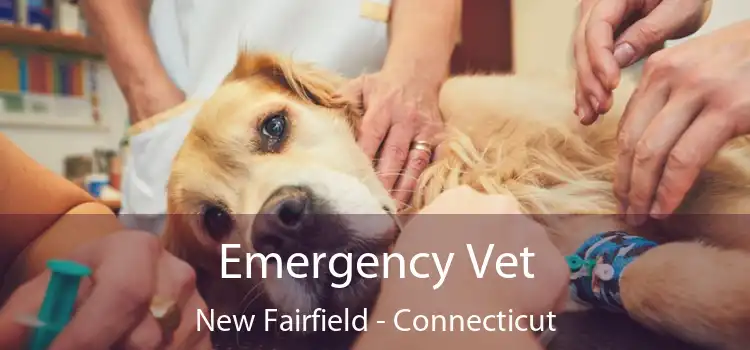 Emergency Vet New Fairfield - Connecticut