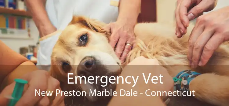 Emergency Vet New Preston Marble Dale - Connecticut