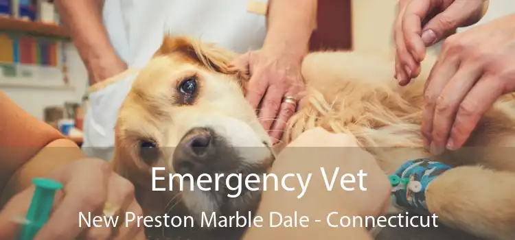 Emergency Vet New Preston Marble Dale - Connecticut