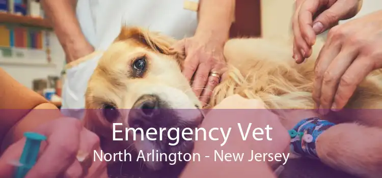 Emergency Vet North Arlington - New Jersey