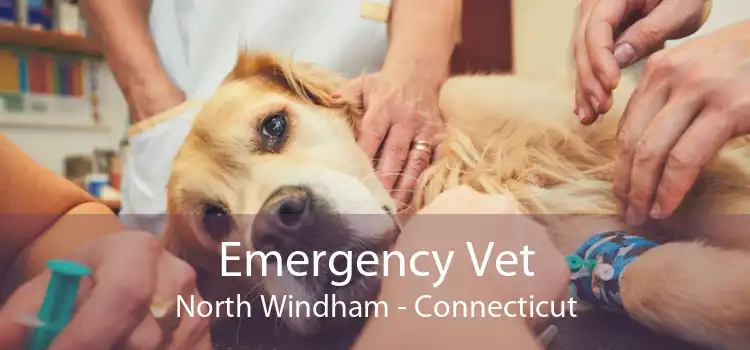 Emergency Vet North Windham - Connecticut