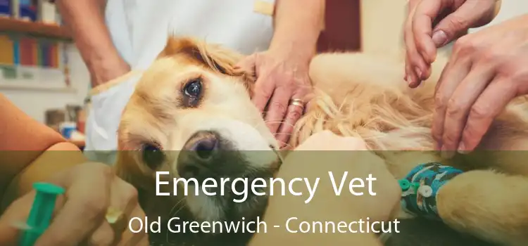 Emergency Vet Old Greenwich - Connecticut