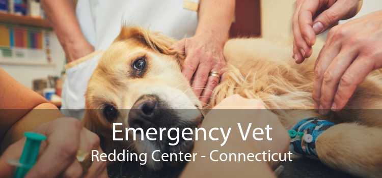Emergency Vet Redding Center - Connecticut