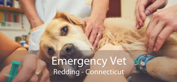 Emergency Vet Redding - Connecticut