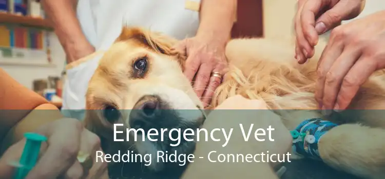 Emergency Vet Redding Ridge - Connecticut