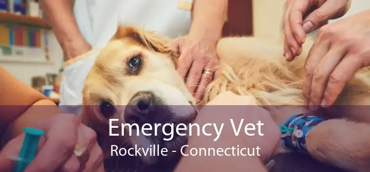 Emergency Vet Rockville - Connecticut
