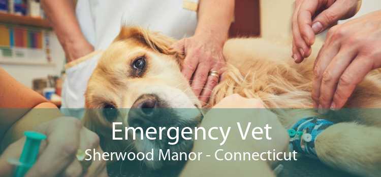 Emergency Vet Sherwood Manor - Connecticut