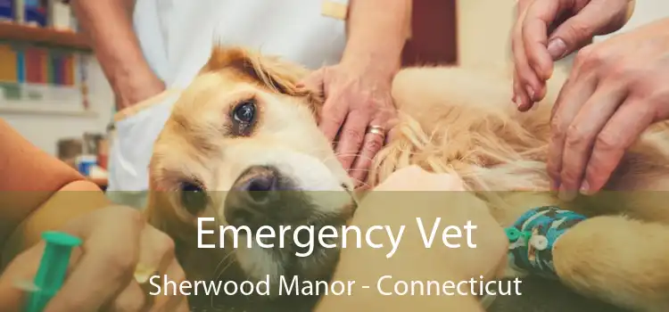 Emergency Vet Sherwood Manor - Connecticut