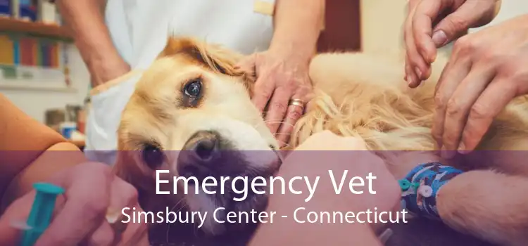 Emergency Vet Simsbury Center - Connecticut