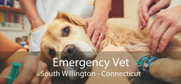 Emergency Vet South Willington - Connecticut