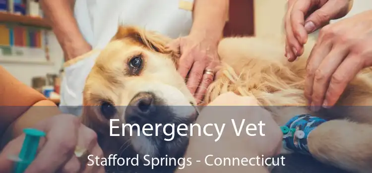 Emergency Vet Stafford Springs - Connecticut