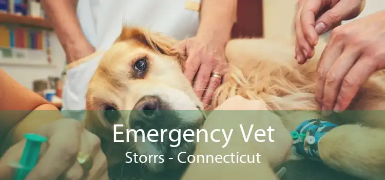 Emergency Vet Storrs - Connecticut
