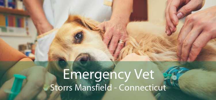 Emergency Vet Storrs Mansfield - Connecticut