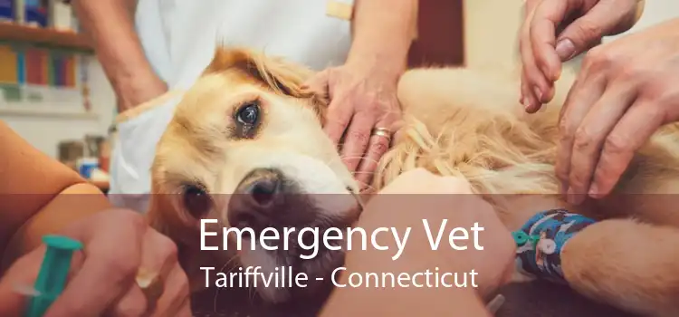 Emergency Vet Tariffville - Connecticut