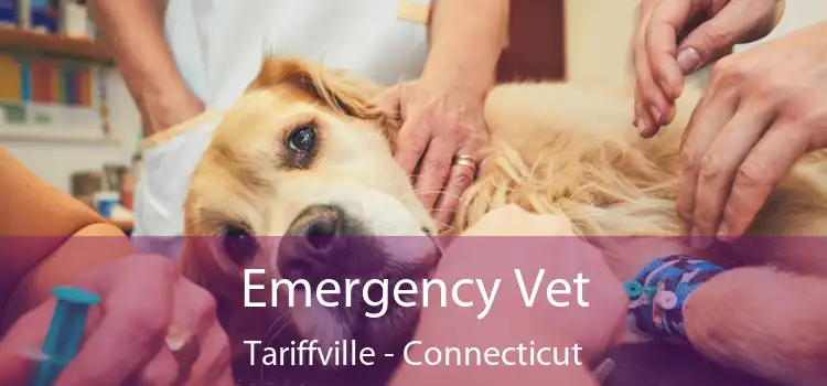 Emergency Vet Tariffville - Connecticut
