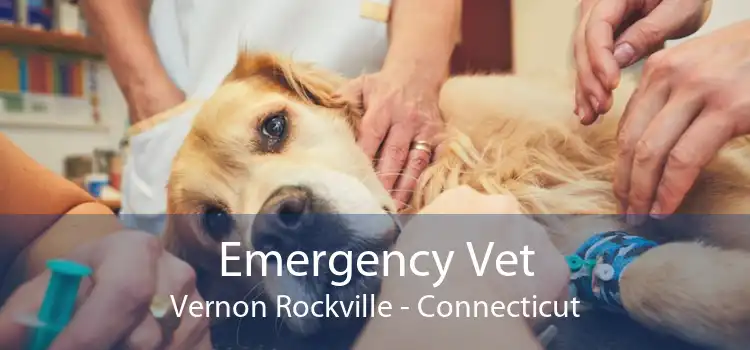 Emergency Vet Vernon Rockville - Connecticut