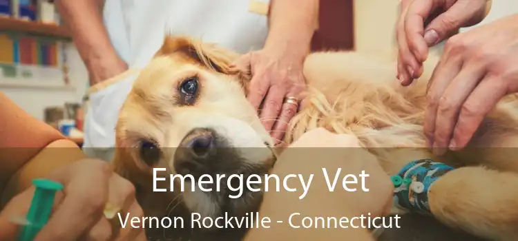 Emergency Vet Vernon Rockville - Connecticut