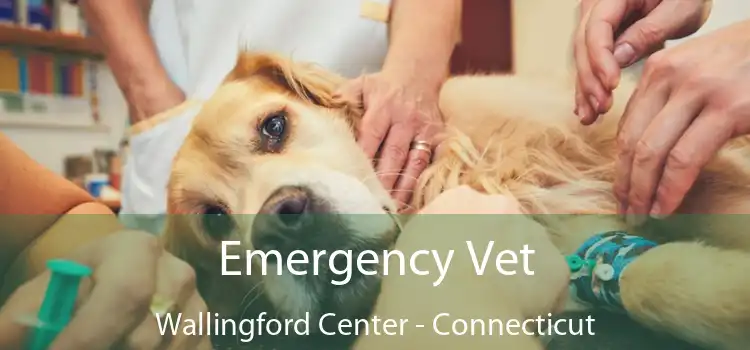 Emergency Vet Wallingford Center - Connecticut