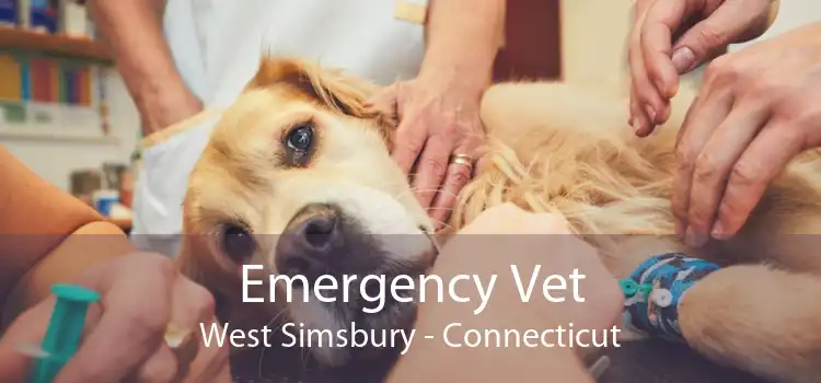 Emergency Vet West Simsbury - Connecticut