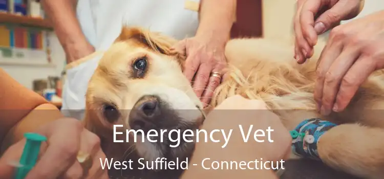 Emergency Vet West Suffield - Connecticut