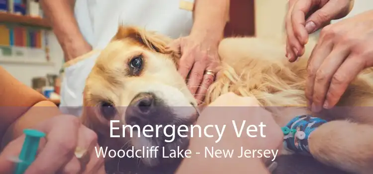 Emergency Vet Woodcliff Lake - New Jersey